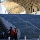 turistas a la sombra de las setas