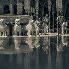 Turistas en el Patio de los Leones  ( Para Ana Iglesias)