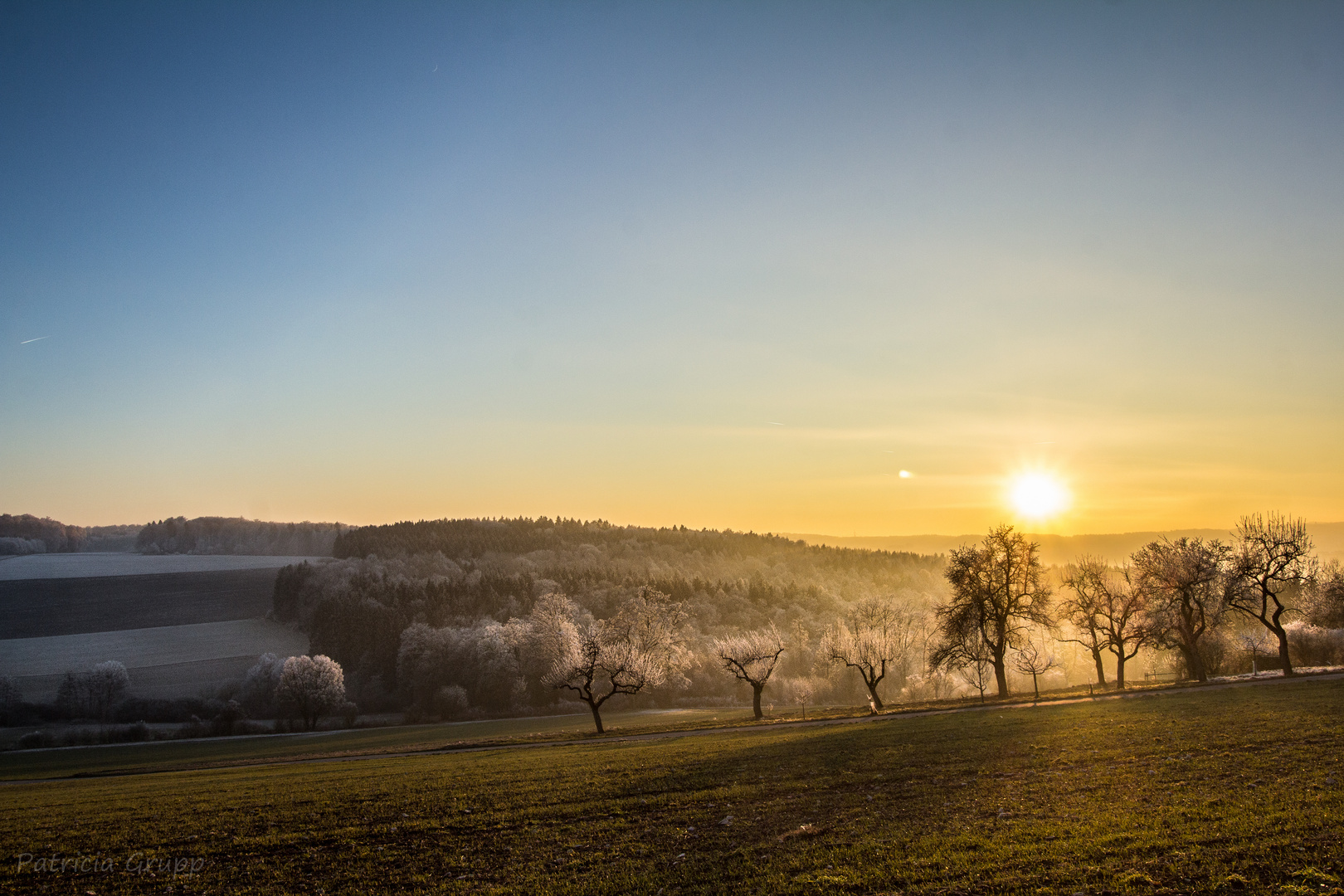 Turitellenplatte, Ermingen