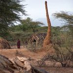 Turkana