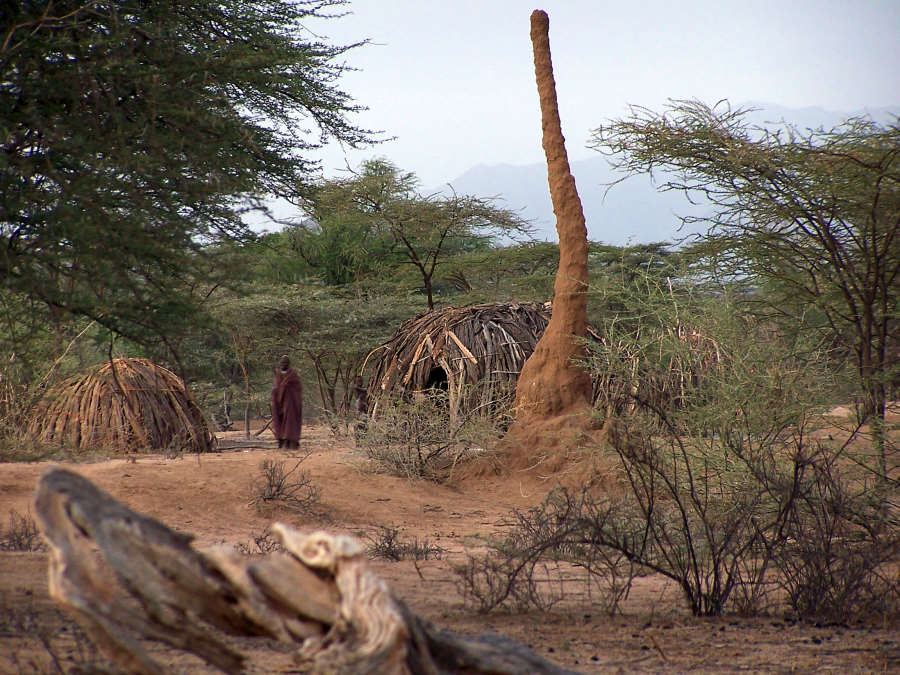 Turkana