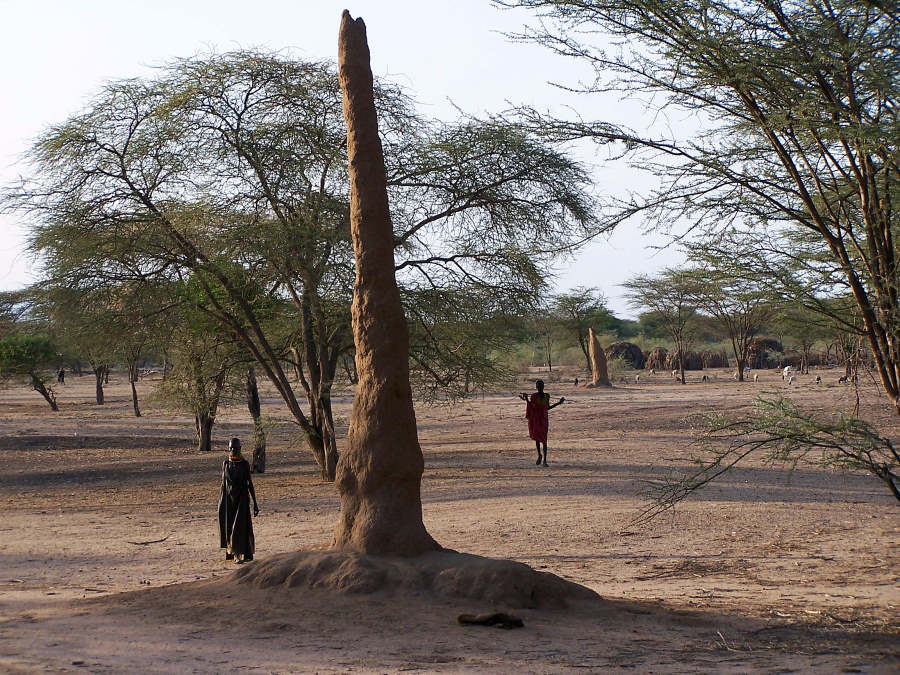 Turkana V