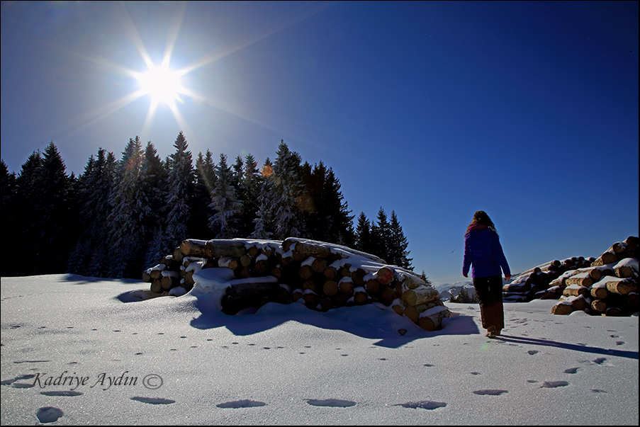 TURKEY- GIRESUN- KULAKKAYA PLATEAU 2