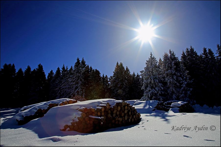 TURKEY- GIRESUN- KULAKKAYA PLATEAU 3