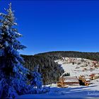 TURKEY- GIRESUN- KULAKKAYA PLATEAU