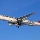 Turkish Airlines A330 - Munich Airport am 09.02.2013