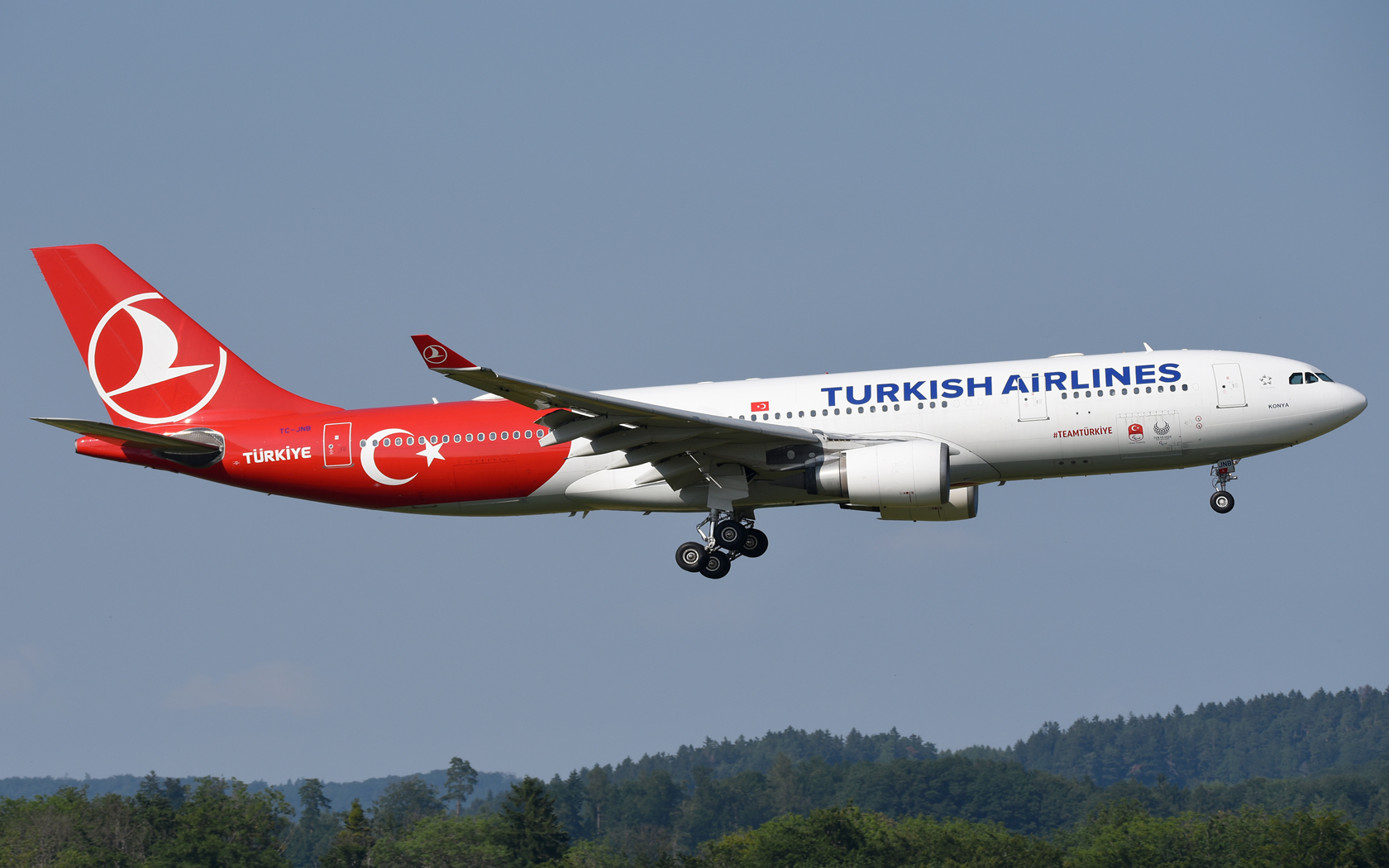 Turkish Airlines Airbus A330-200 TC-JNB 