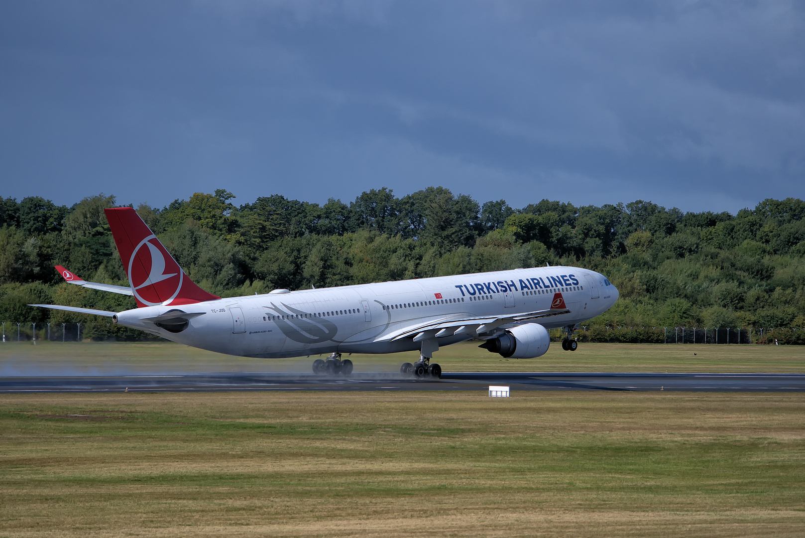 Turkish Airlines Airbus A330-303 Foto & Bild | luftfahrt ...