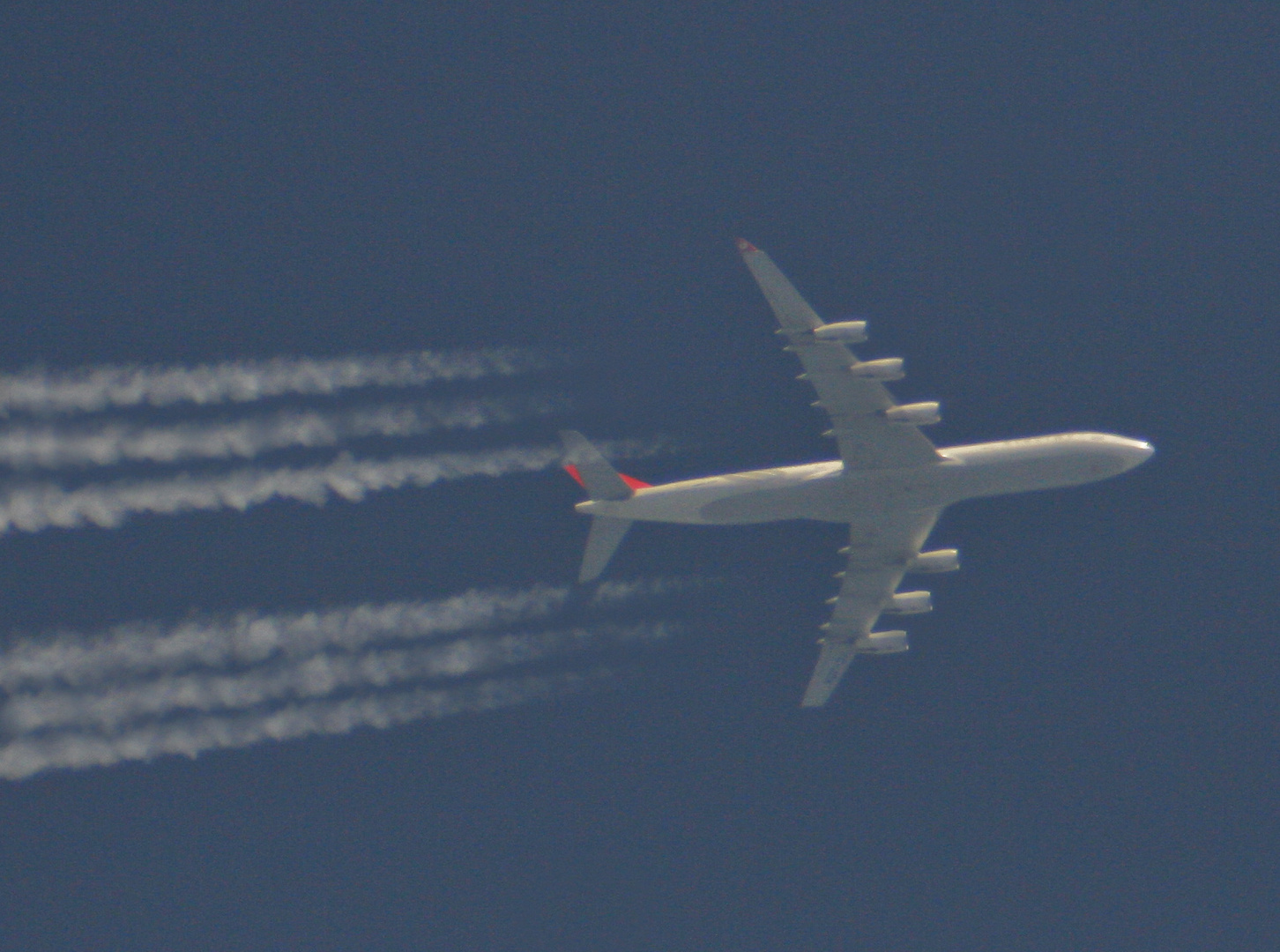 Turkish Airlines Airbus A390-230X (Fake)