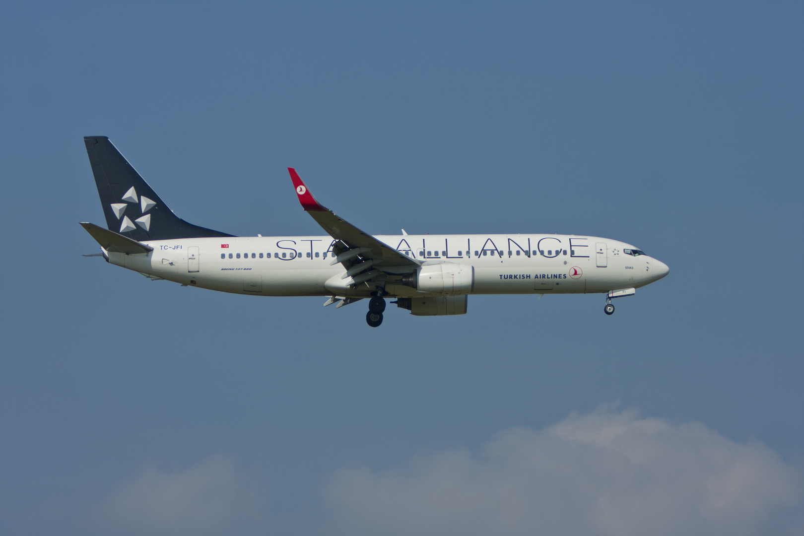 Turkish Airlines Star Alliance Boeing 737-8F2