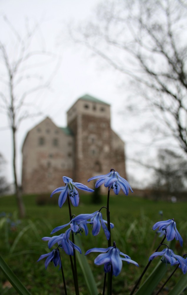 Turku castle in spring