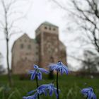 Turku castle in spring