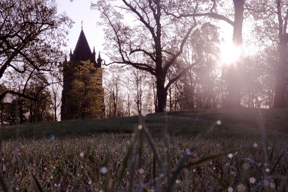 Turm von Maria Porsurova 