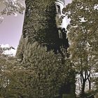 Turm am Obersee (Hohenschöngrünkohl :-))