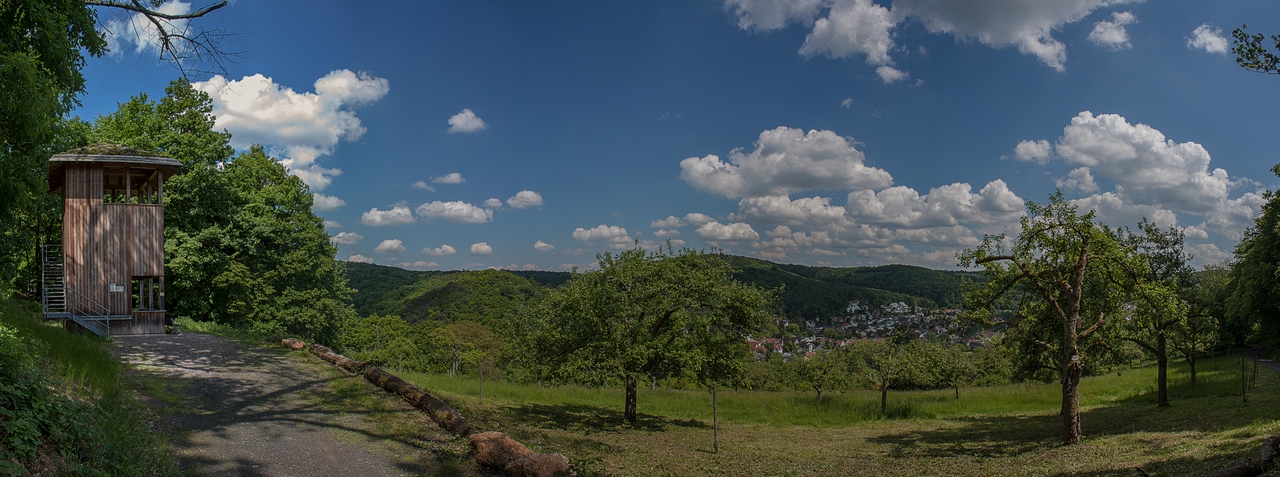 Turm am Ringwall in Lorsbach