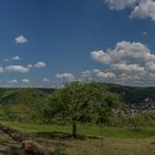 Turm am Ringwall in Lorsbach