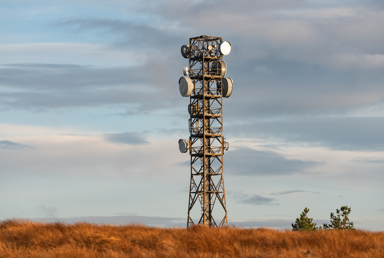 Turm auf der Hornisgrinde