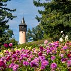 Turm auf der Insel Mainau