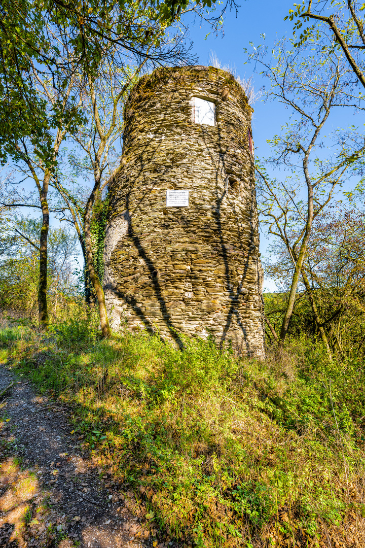 Turm Burg Waldeck 43