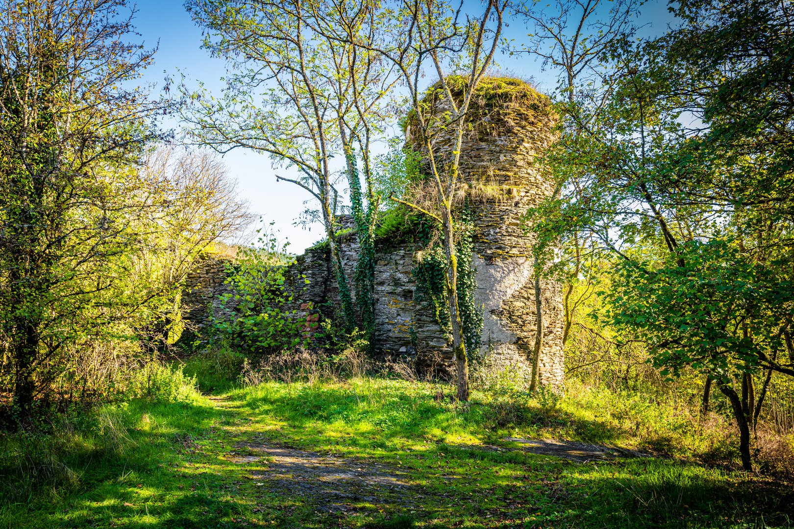 Turm Burg Waldeck 93