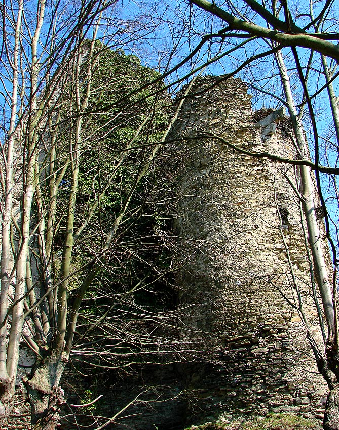 Turm der Burgruine Sayn