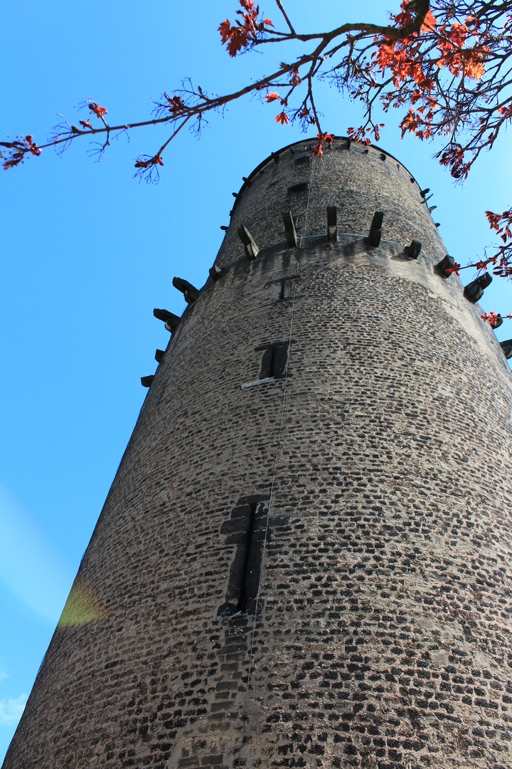 Turm der Godesburg