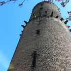 Turm der Godesburg