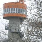 Turm des Baumkronenpfades