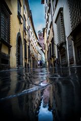 Turm des Palazzo Guinigi - Lucca