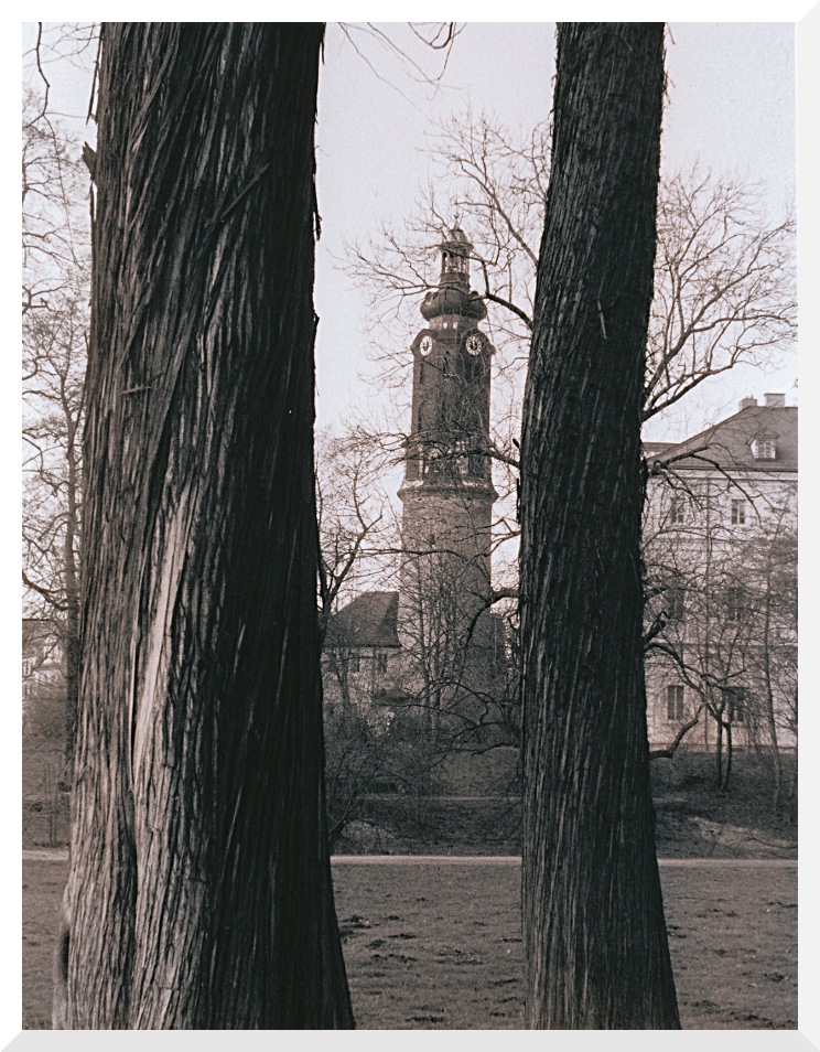 Turm des Stadtschlosses in Weimar