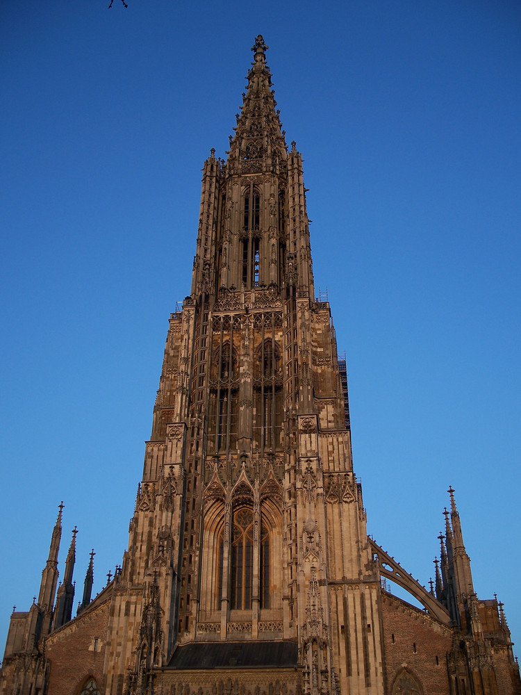 Turm des Ulmer Münster