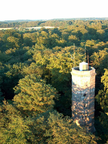 Turm größer als der Wald