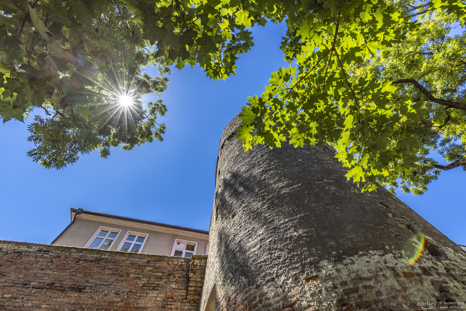 Turm im Gegenlicht