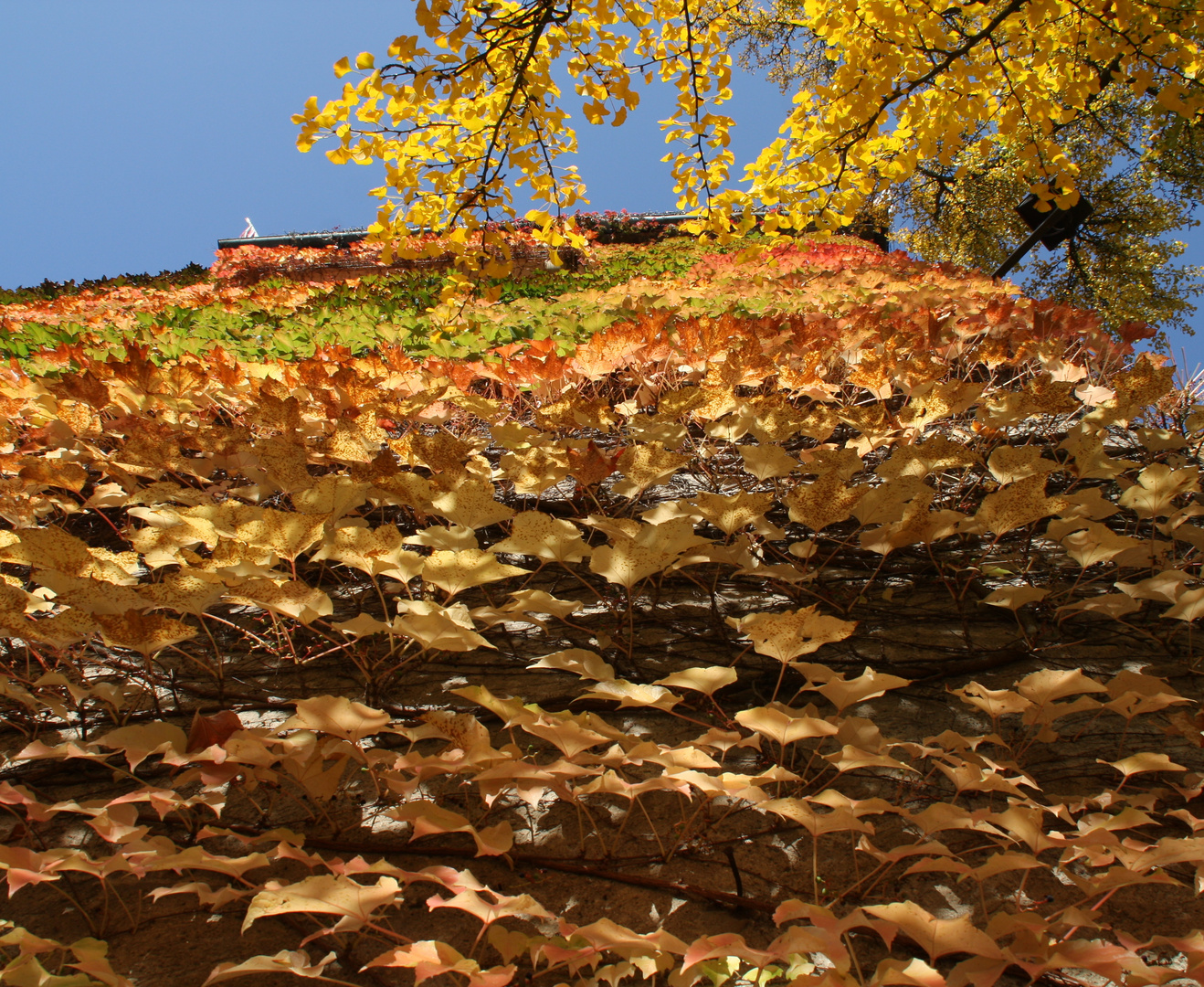 Turm im Herbstlaub