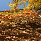 Turm im Herbstlaub