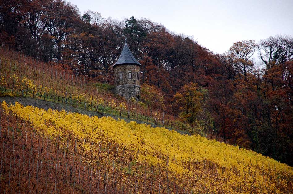 Turm im herbstlichen Weinberg