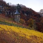 Turm im herbstlichen Weinberg