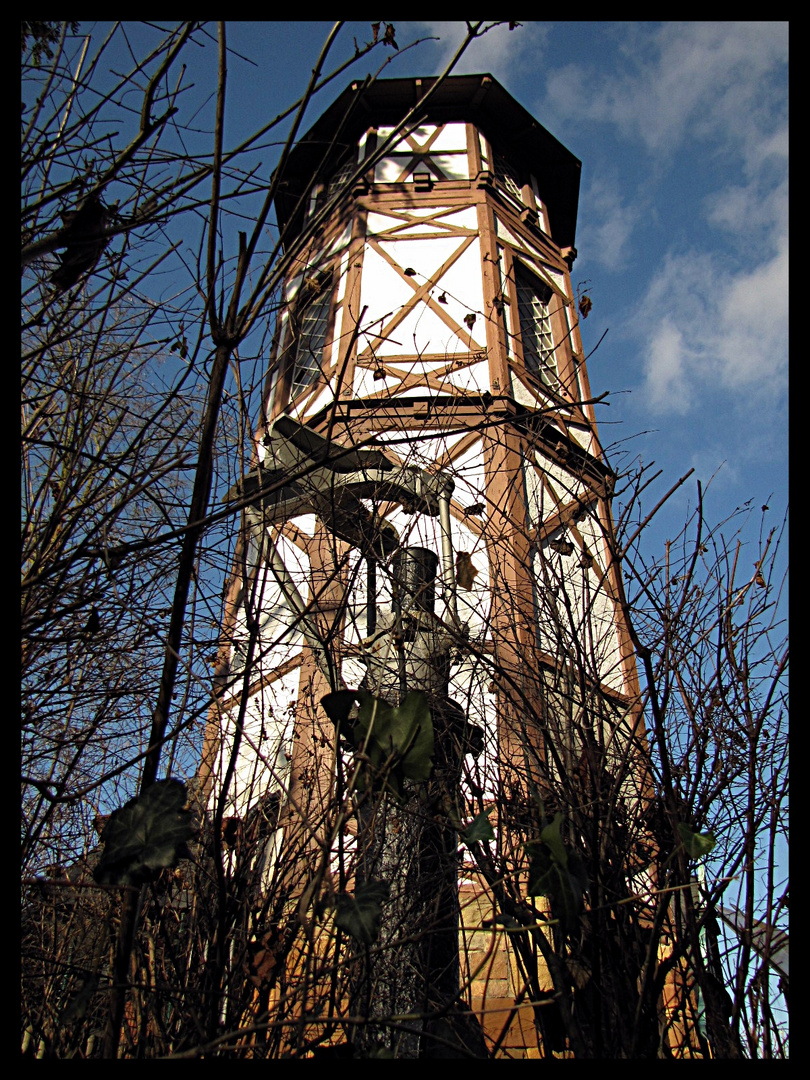 Turm im Kurpark Münster am Stein