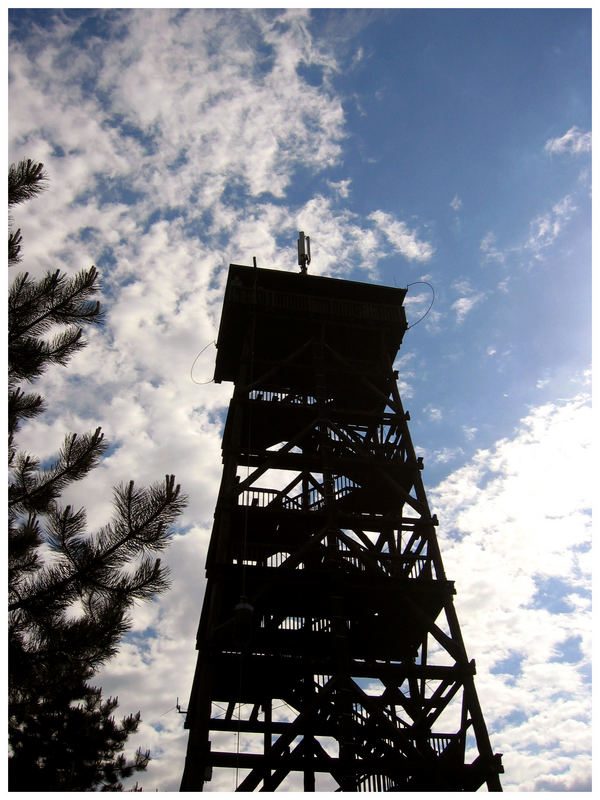 Turm im Wald