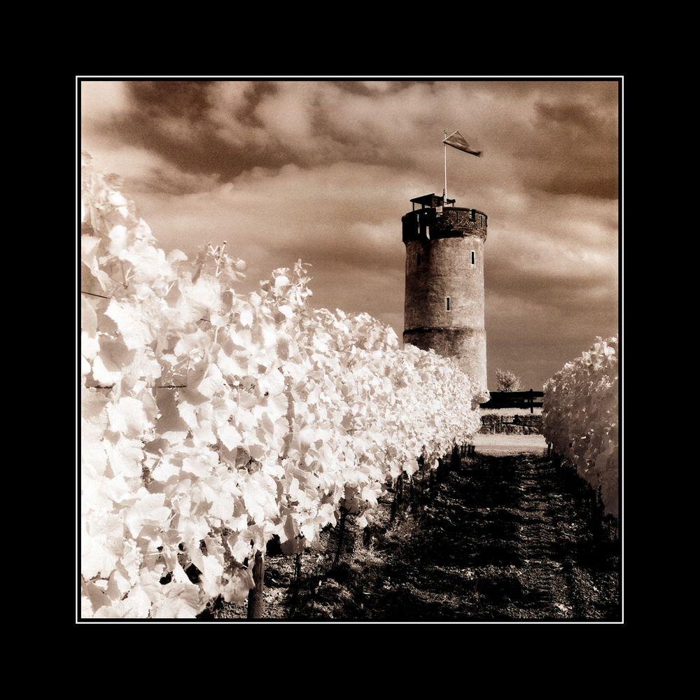 Turm im Weinberg