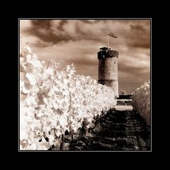 Turm im Weinberg