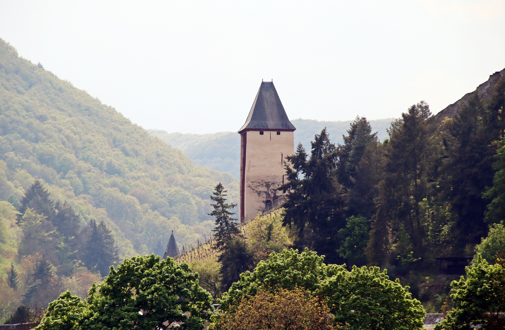 Turm im Weinberg
