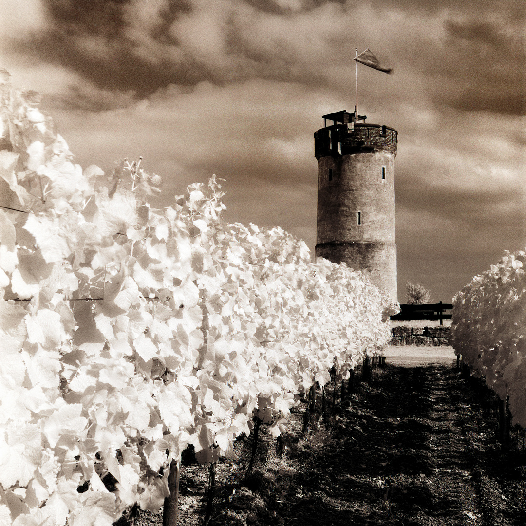 Turm im Weinberg