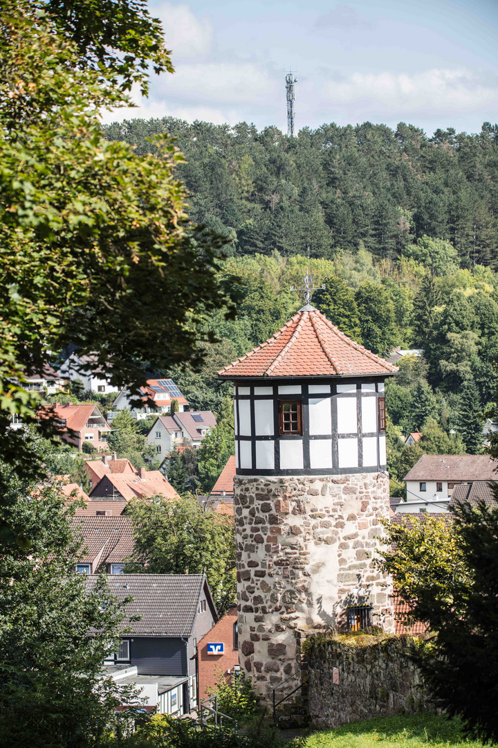 Turm in der Wehrmauer..