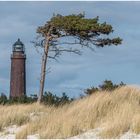 Turm neben Windflüchter