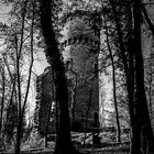 Turm Ruine Harbke #5