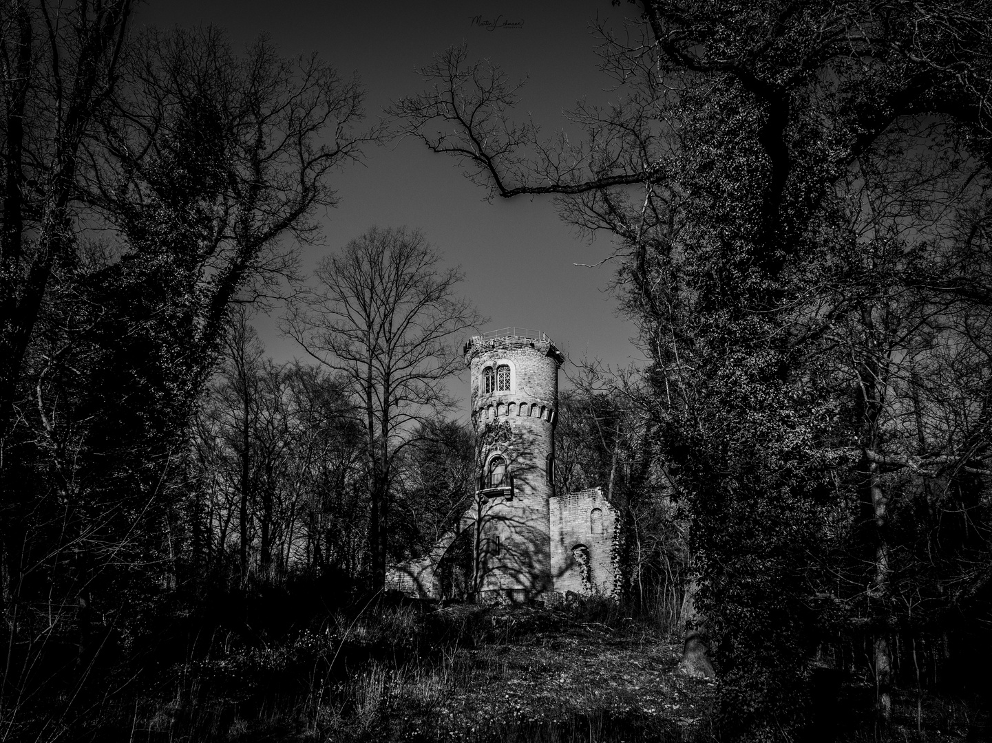 Turm Ruine Harbke #6