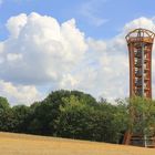 Turm schlägt Läufer