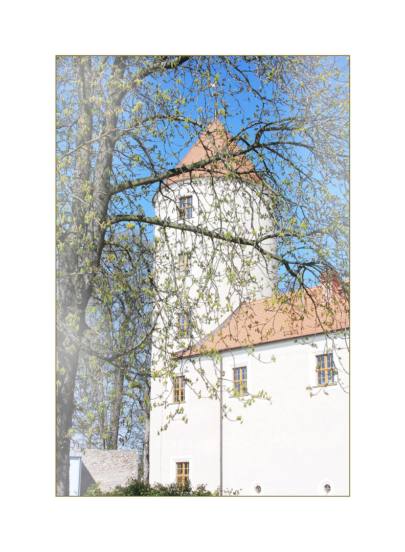 Turm Schloß Freudenstein