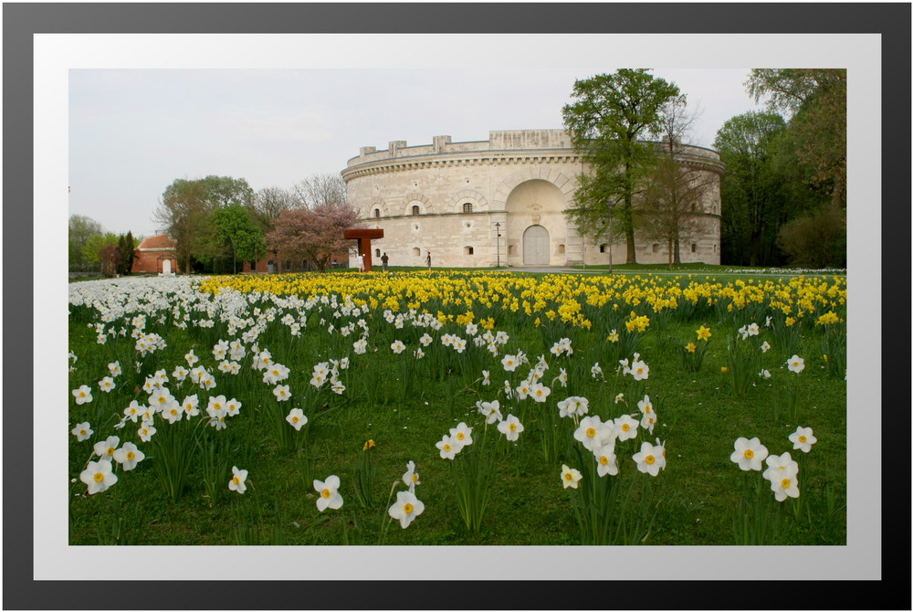 Turm Triva - Frühling im Klenzepark